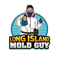 Long Island Mold Guy image 1